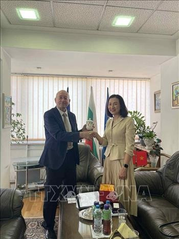 L’ambassadrice du Vietnam en Bulgarie, Nguyên Thi Minh Nguyêt, s’entretient avec Tsvetan Simeonov, président de la Chambre de commerce et d’industrie bulgare (BCCI). Photo : VNA nguyen-thi-minh-nguyet-tsvetan-simeonov.jpg