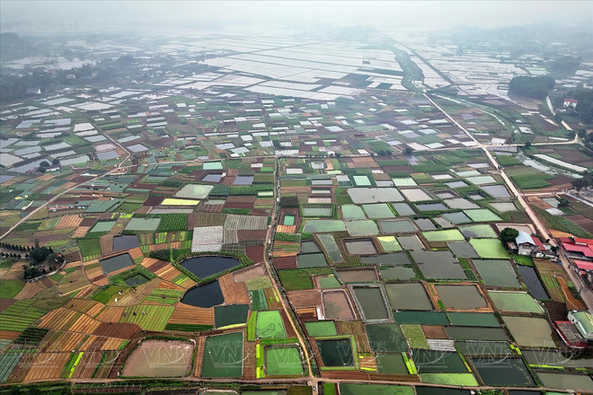 La zone d'élevage des carpes rouges du village de Thuy Trâm. Photo: VNP panorama-thuy-tram.jpg