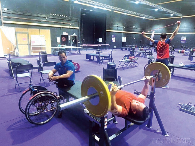 Sur les quelque 7 millions de personnes handicapées au Vietnam, environ 30.000 pratiquent régulièrement une activité sportive. Photo : VNA handisport.jpg