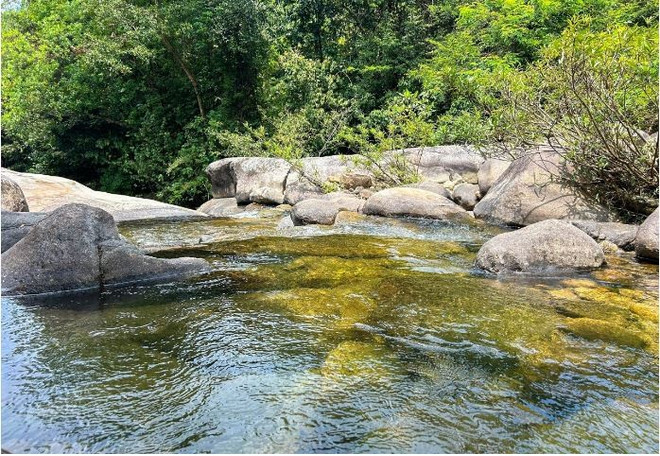 Le ruisseau en aval de la cascade traverse une forêt luxuriante. Photo : CTV bo-ghe-ctv.jpg