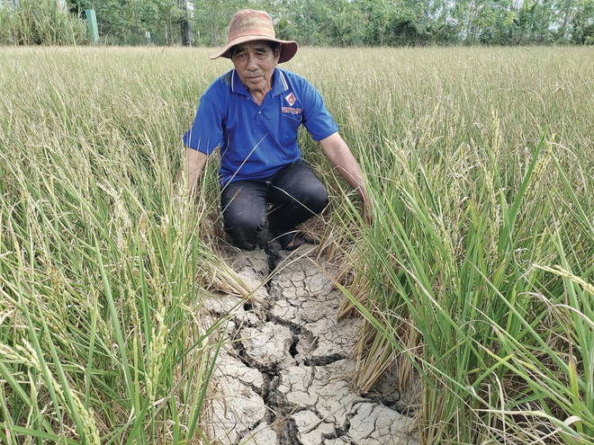 La sécheresse et la salinité s’intensifient dans le delta du Mékong. Photo : VNA la-secheresse-et-la-salinite-sintensifient-dans-le-delta-du-mekong.jpg