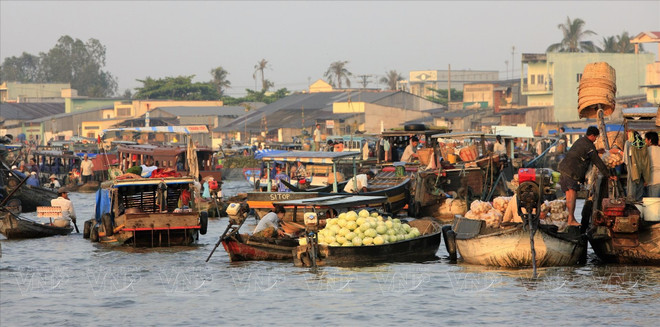 En 2011, le marché flottant de Cai Rang comptait entre 500 et 700 commerçants. Photo : VNP marche-flottant-de-cai-rang.jpg