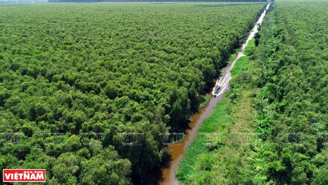 Le Parc national d'U Minh Thuong est une destination préférée des touristes à l’occasion des week-ends de la province de Kiên Giang. Photo: VNP u-minh-thuong-9271.jpg