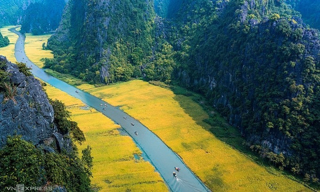 ngo-dong-ninh-binh.jpg