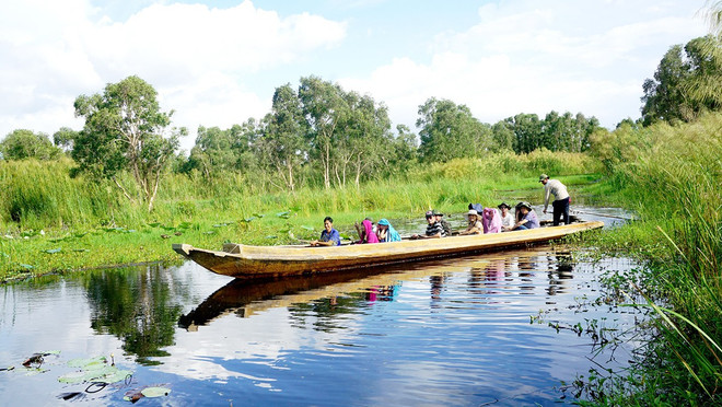 Touristes explorant la forêt d'U Minh Ha. Photo: baocantho.com.vn baocanthocomvn.jpg