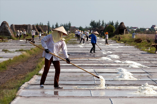 Thuy Hai est l'une des rares localités du Nord qui pratiquent encore le métier traditionnel de la production de sel. Photo: VNP sauniers.jpg
