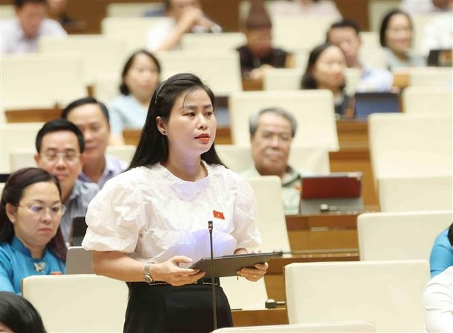 La députée de la province de Quang Nam, Dang Thi Bao Trinh, interpelle le ministre Nguyên Kim Son. Photo : VNA dang-thi-bao-trinh-quang-nam.jpg