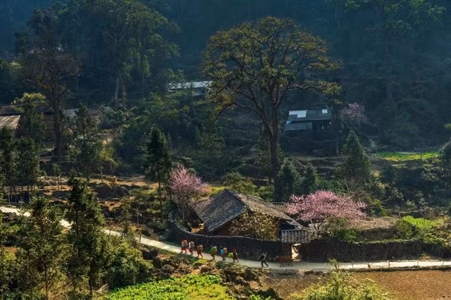 plateau-karstique-dong-van.jpg
