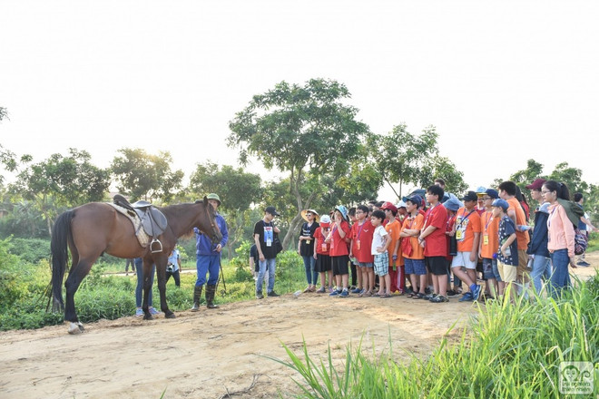 Des élèves visitant la ferme équestre de Ba Vân. Photo: thainguyentv.vn thainguyentvvn.jpg
