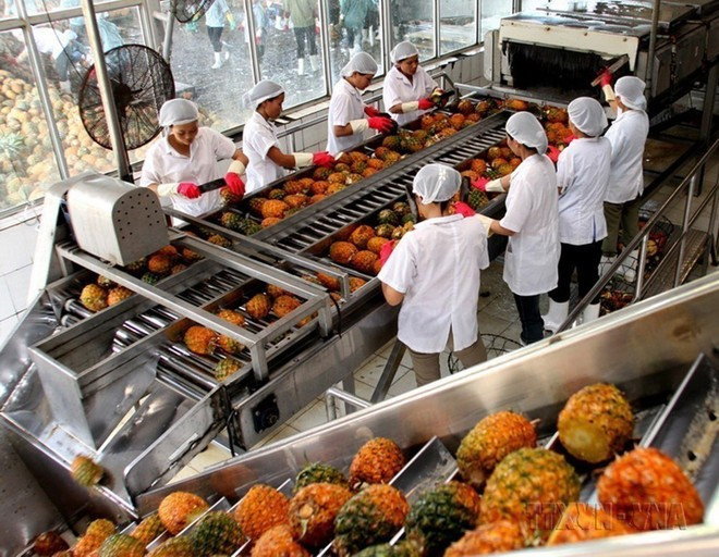 Le Vietnam exporte vers le Sénégal principalement du poivre, des textiles et des légumes. Photo: VNA exportation-fruits.jpg