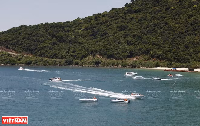 reserve-maritime-de-cu-lao-cham.jpg