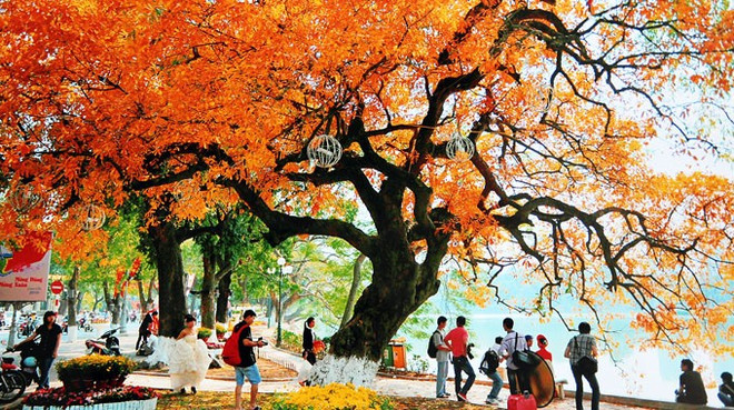 Lac Hoàn Kiêm, à Hanoi. À chaque retour de l’automne, Hanoi semble revêtir une parure nouvelle, douce et romantique — une beauté unique qui laisse dans le cœur de tout visiteur une empreinte inoubliable. Photo: vietnamtourism.gov.vn vietnamtourismgovvn.jpg