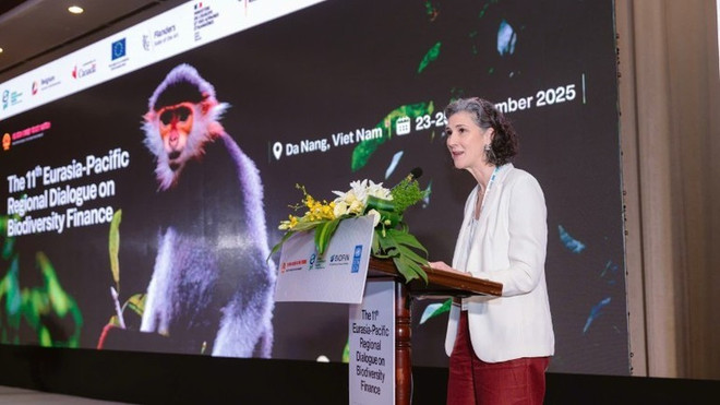Ramla Khalidi, représentante résidente du PNUD au Vietnam, prend la parole lors de l’événement. Photo : NDEL ramla-khalidi.jpg