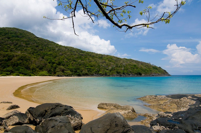 La beauté sauvage de Dâm Trâu. Photo: Lonely Planet dam-trau-lonely-planet.jpg