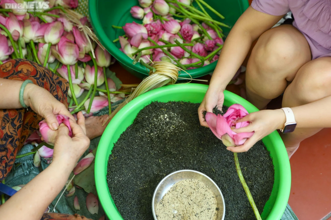 La préparation du thé infusé au lotus est un processus méticuleux. Photo : VTC the-lotus-vtc.png