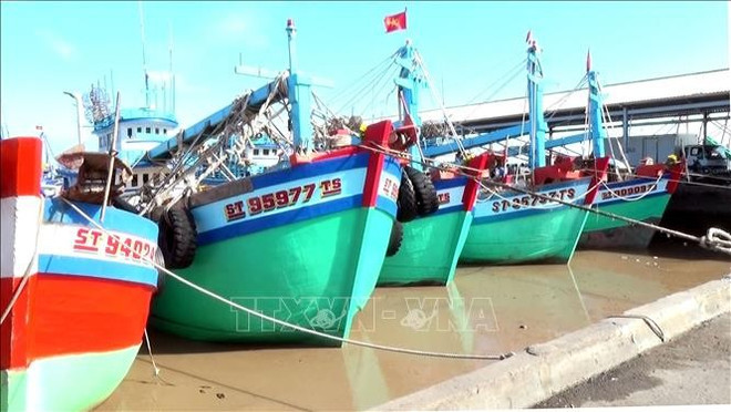 Cân Tho a une large flotte de pêche, d’où la nécessité de sensibiliser les communautés côtières à la prévention et à la lutte contre la pêche INN. Photo : VNA can-tho-flotte.jpg