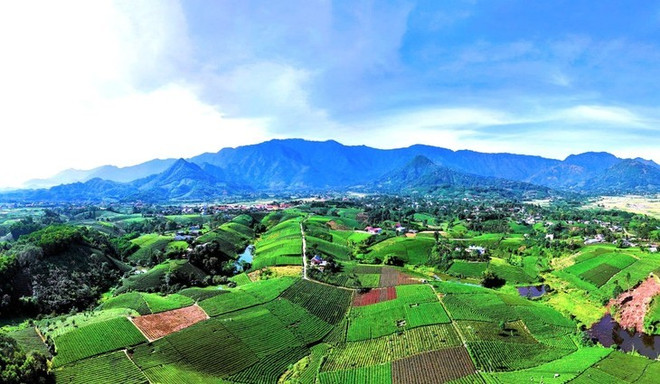 La colline de thé Câu Da. Photo: VOV la-colline-de-the-cau-da.jpg