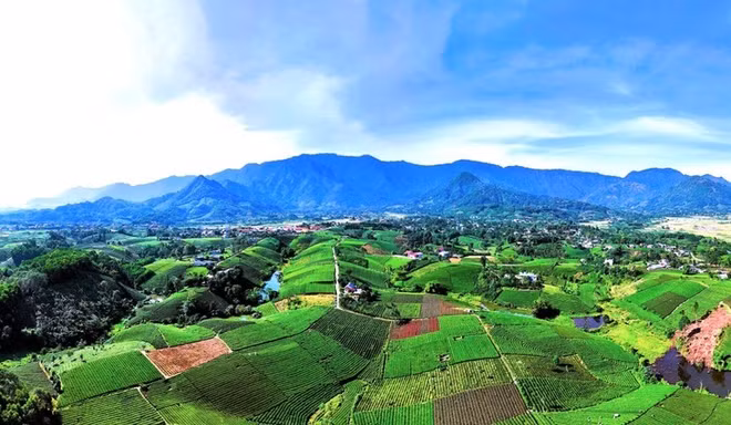 la-colline-de-the-cau-da.jpg