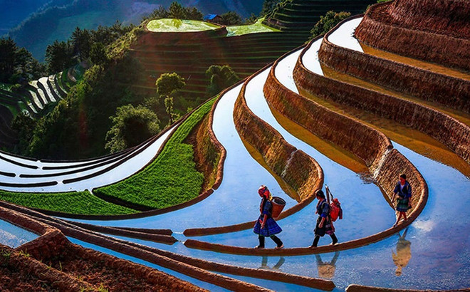 Mu Cang Chai mu-cang-chai-8363.jpg
