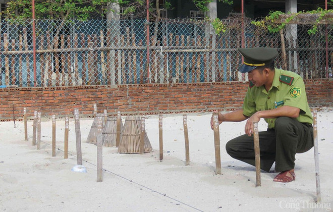 Trân Dinh Dông inspecte la zone d’incubation des œufs de tortue. Photo : congthuong.vn tran-dinh-dong.jpg