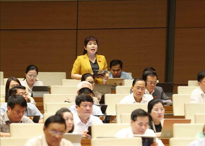 Nguyên Thi Thu Hà, députée de la province de Quang Ninh lors du débat parlementaire sur le projet de loi. Photo: VNA nguyen-thi-thu-ha.jpg