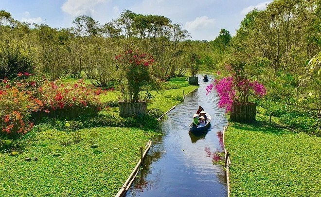 Forêt de cajeput de Trà Su dans le district de Tinh Biên, province d’An Giang. Photo : VNA tra-su.jpg