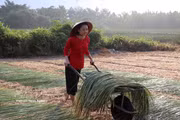 Tay Ninh : Préserver le rythme de l'artisanat traditionnel de l'estuaire de Nhut Tao