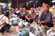 L'effervescence du marché périodique de Phuong Do : l'âme rurale de Tuyen Quang
