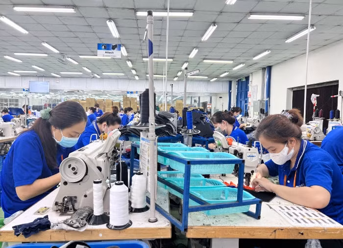 Les travailleurs de la Sarl international Tri-Viet avec un capital 100% japonais situé dans la zone industriel Tra Noc II - Ville de Can Tho. Photo: qdnd