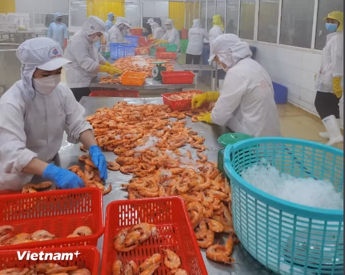 L’UOB maintient ses prévisions de croissance économique du Vietnam à 6%. Photo: VietnamPlus