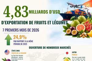 Les exportations de fruits et légumes atteignent 4,83 milliards de dollars en sept mois