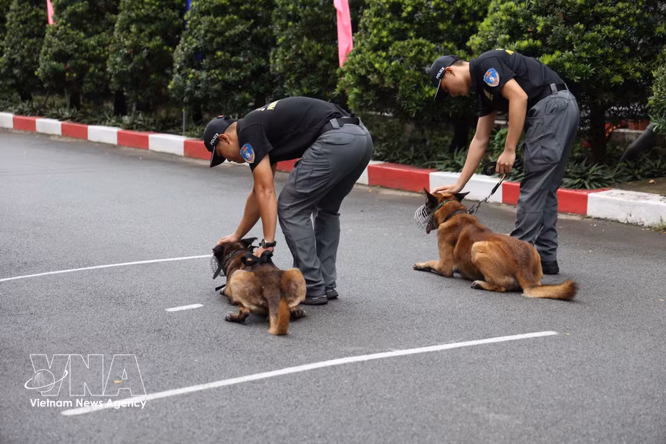 Les chiens d’intervention aux côtés de leurs maîtres-chiens. Photo : VNA