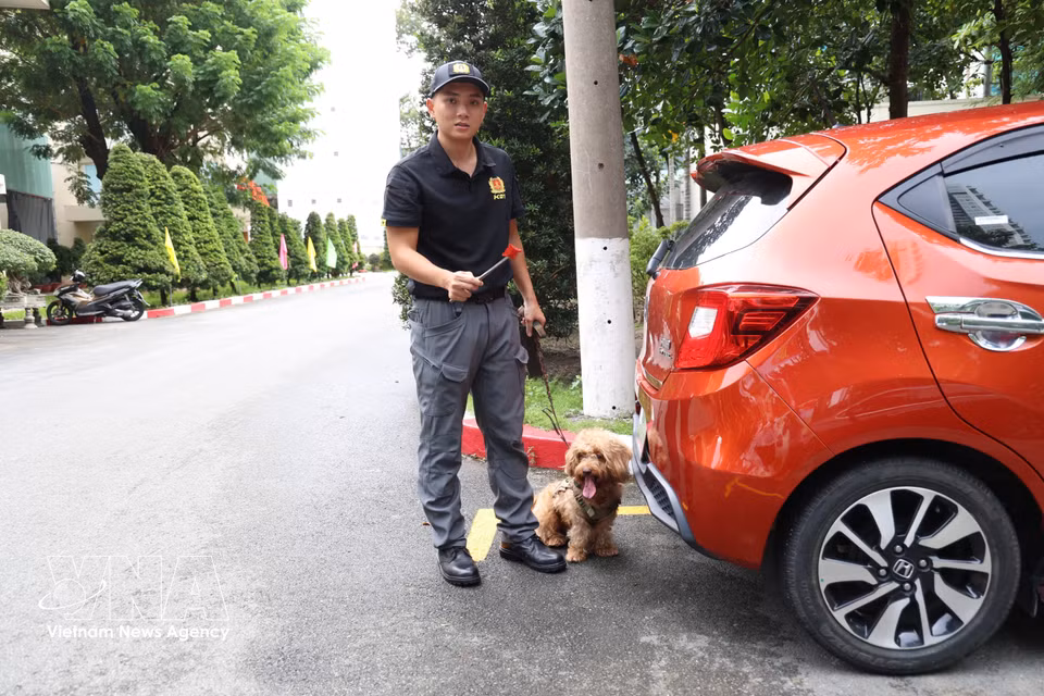Le chien d’intervention Nicky s’entraîne à détecter des explosifs sous un véhicule. Photo : VNA