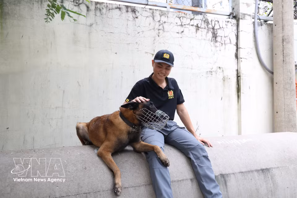 Un moment de complicité entre le chien d’intervention Rich et son maître-chien, Le Tan Thong. Photo : VNA