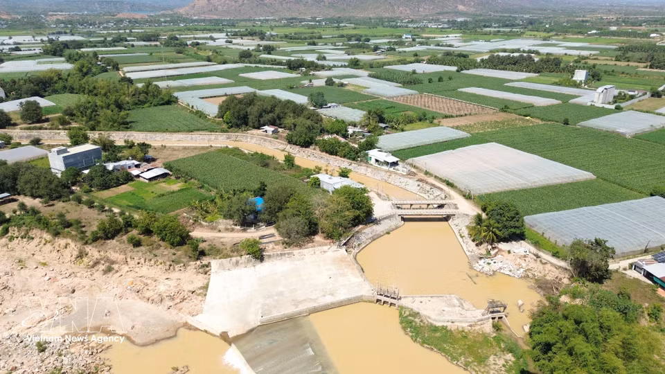 Le réseau de canaux dérivés du barrage de Nha Trinh se déploie de part et d’autre de la rivière, avant de se ramifier pour alimenter de vastes surfaces agricoles. Photo : VNA