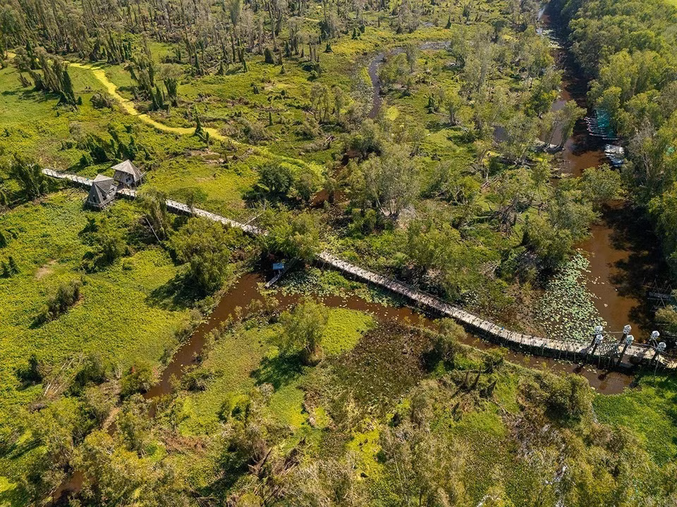 Le site d'écotourisme de la forêt de cajeputiers de Tra Su (Tinh Biên, An Giang), d’une superficie de 850 hectares, est considéré comme la plus belle et la plus renommée forêt de cajeputiers du Vietnam, intégrée au réseau national des forêts protégées. Photo: VNA