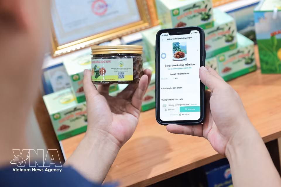 La Coopérative de la Ferme écologique de Mâu Son utilise des codes QR pour assurer la traçabilité de l’origine des produits, contribuant à accroître leur valeur et à renforcer la confiance des consommateurs. Photo: VNA