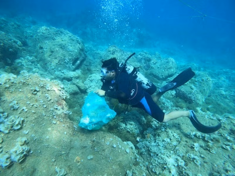 Collecte de déchets plastiques sous-marins dans la commune insulaire de Nhon Hai, ville de Quy Nhon, province de Binh Dinh (Centre). Photo : VNA