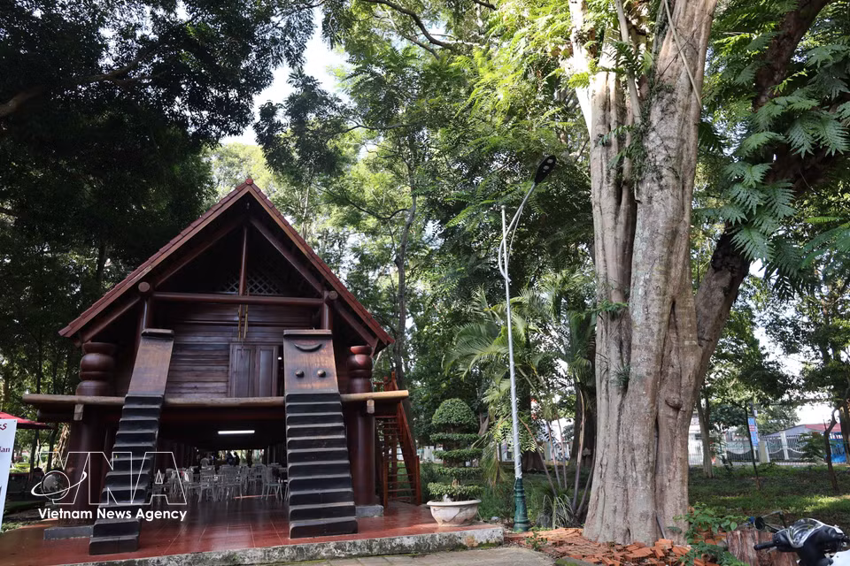 Une maison longue moderne, conçue selon le style traditionnel du peuple Ê Đê Kpă sous la frondaison d'arbres centenaires, préservant l'identité des communautés des Hauts Plateaux du Centre. Photo : VNA