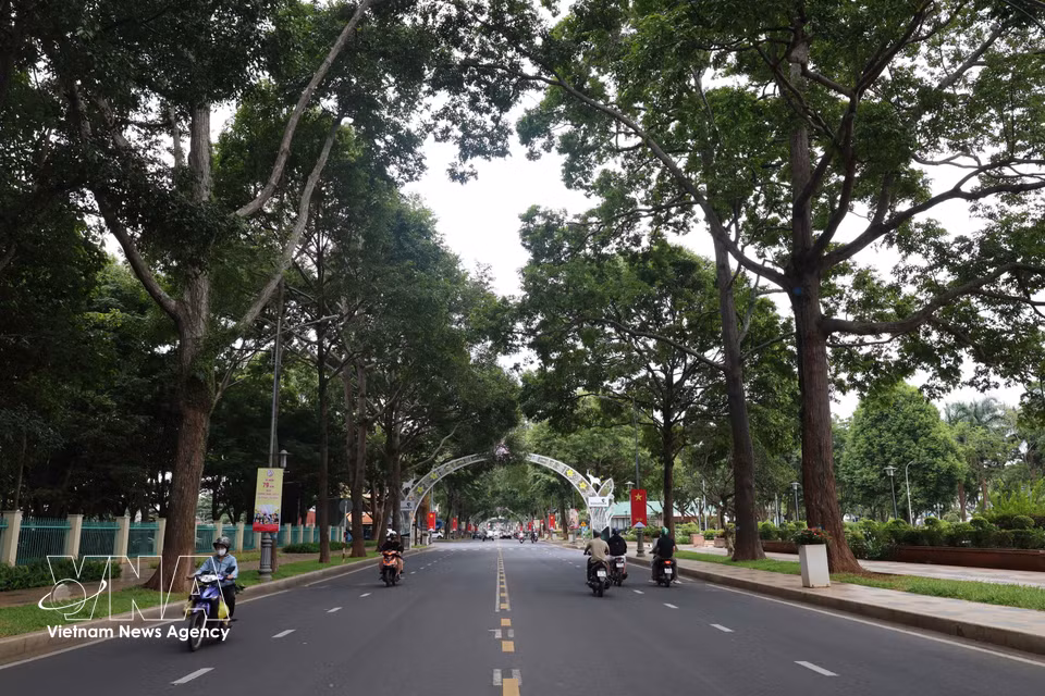 Les rues ombragées par la végétation. Photo : VNA