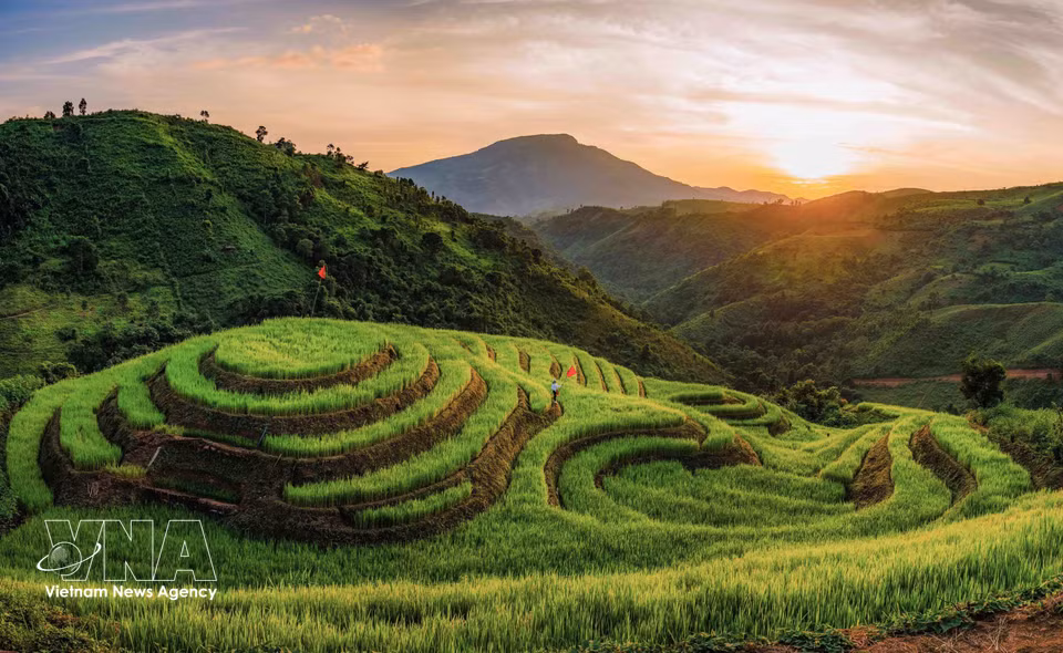 Vue d’ensemble des rizières en terrasses du village de Phu Luông B, commune de Pu Nhi, province de Diên Biên. Étagées le long des versants, elles se fondent dans les paysages montagneux de la région. Photo: VNA