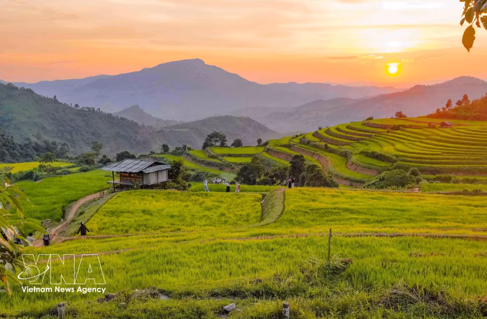 La lumière du soir enveloppe les rizières en terrasses de Pu Nhi, baignant le paysage d’une atmosphère douce et paisible. Photo : VNA