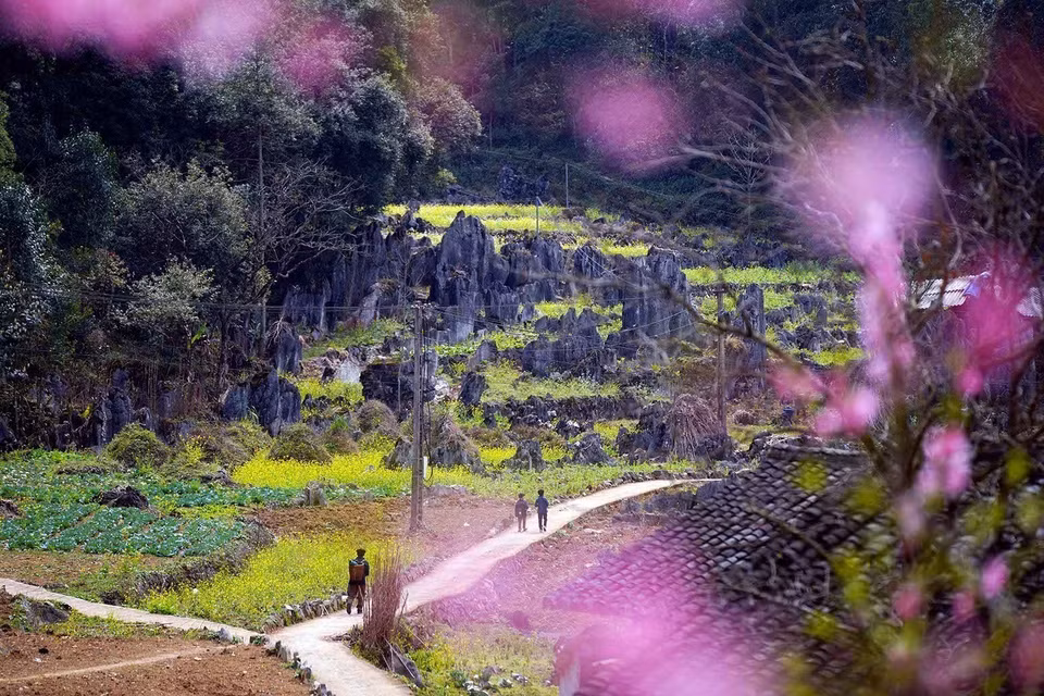 Le plateau karstique de Dông Van, géoparc mondial UNESCO, est situé dans la province de Tuyên Quang, au Nord du Vietnam. Photo: VNA
