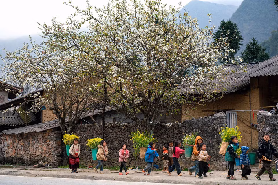 Le plateau karstique de Dông Van abrite plusieurs groupes ethniques, dont la coexistence façonne un patrimoine culturel riche et unique. Photo: VNA