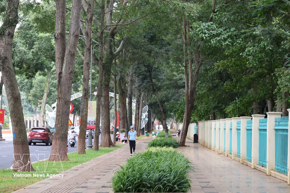 Des trottoirs spacieux et bordés d'arbres centenaires. Photo : VNA