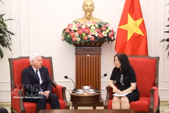 La vice-ministre des Affaires étrangères Le Thi Thu Hang et le consul honoraire du Vietnam en Irlande, Patrick McKillen, à Hanoï. Photo : VNA