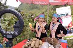 Des agriculteurs de Lai Chau diffusent en direct sur TikTok pour vendre leurs produits agricoles. Photo : VietnamPlus