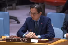 L'ambassadeur Do Hung Viet, chef de la Mission permanente du Vietnam auprès des Nations unies. Photo : VNA