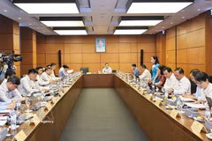 Les députés de Ho Chi Minh-Ville discutent en groupe. Photo : VNA