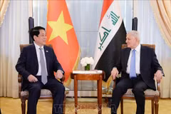 Le président vietnamien Luong Cuong (gauche) rencontre le président irakien Abdul Latif Rashid. Photo : VNA